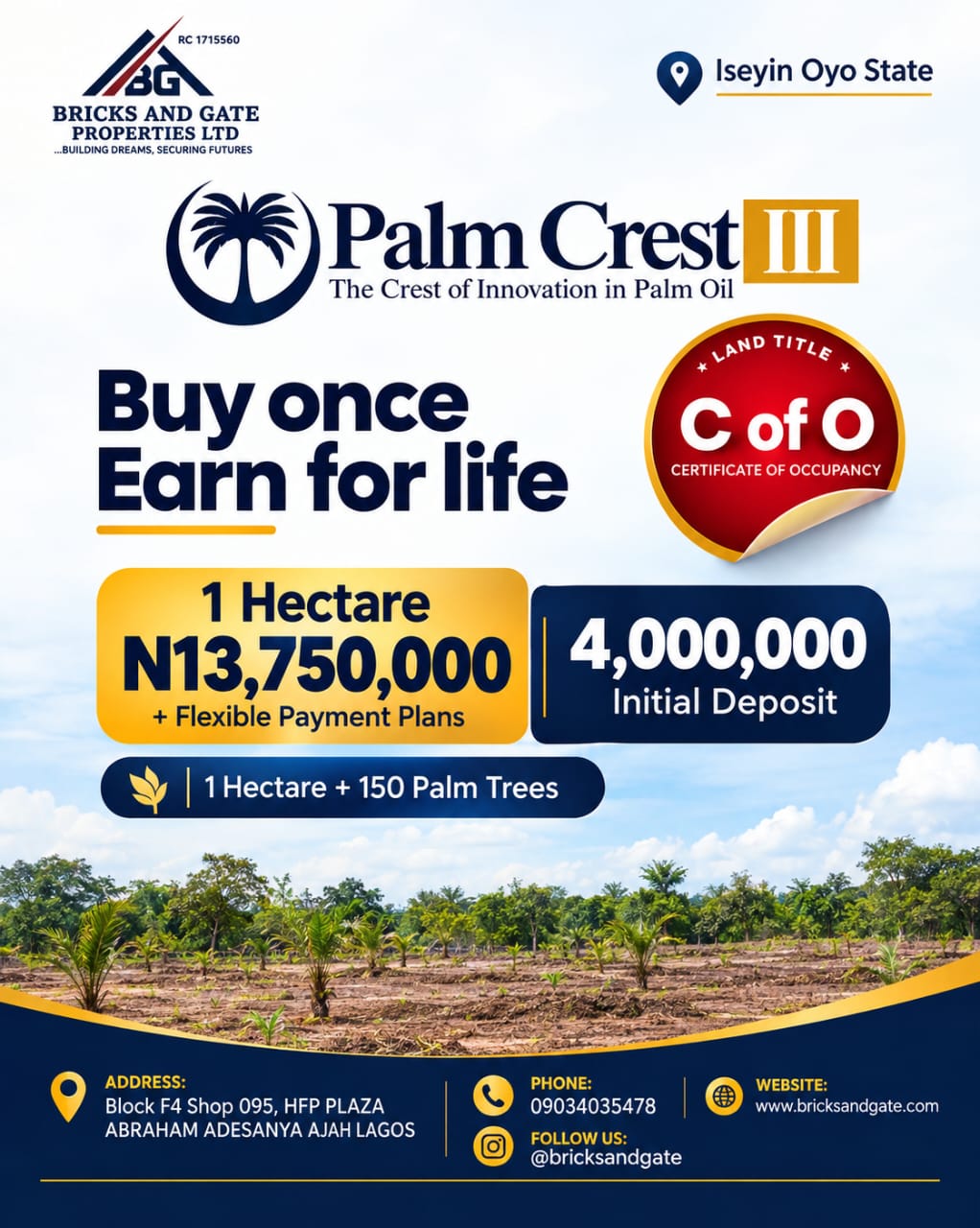 Palm Crest III